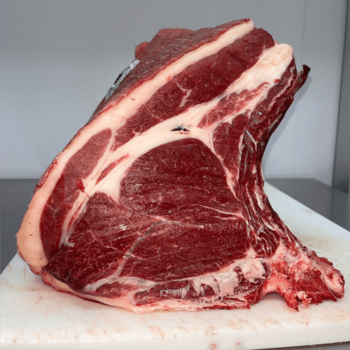 COSTATA DI CAVALLO CON OSSO( 1 KG )